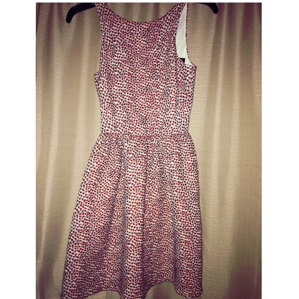 Zara Dress